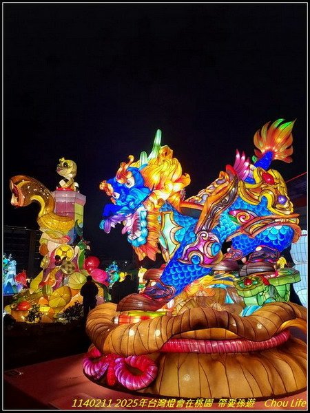 B65  2025年台灣燈在桃園.jpg