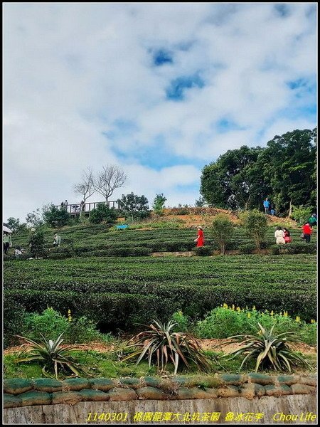 B30龍潭大北冰花季.jpg