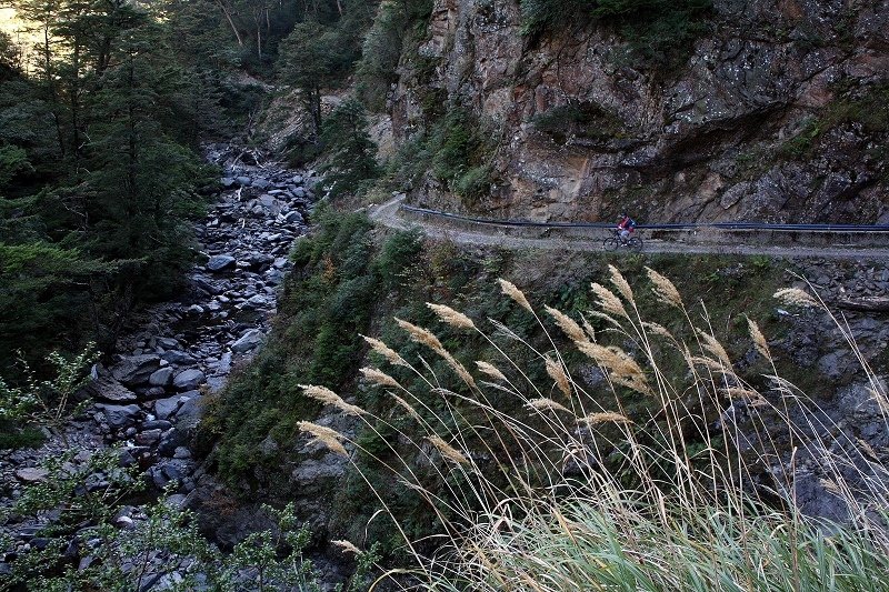 083.jpg