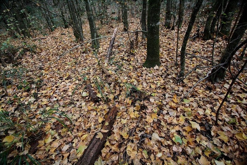 050.jpg