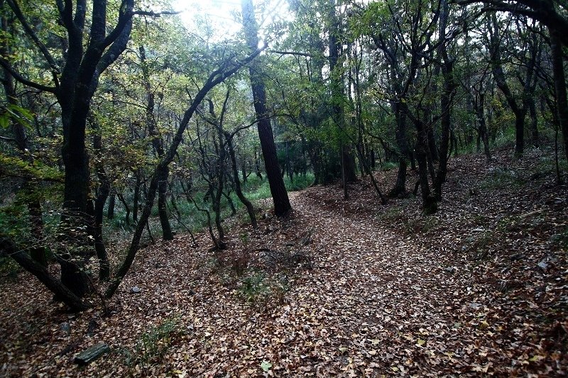 060.jpg