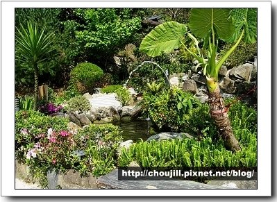 花岩山林美麗的園區造景