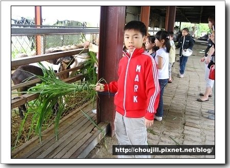 恆：餵羊吃草像我這麼帥氣的沒幾個