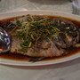 DSC05827.JPG