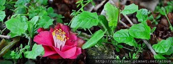 DSC_9941.jpg