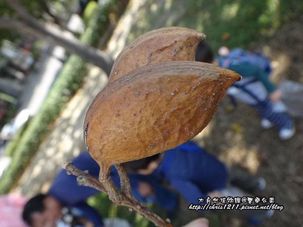 DSC07971