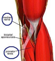 lowe01__1_1_9151.jpg