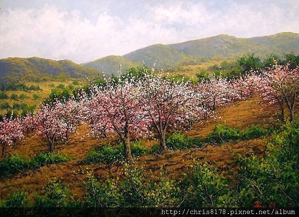 11468_Joan Coloma_20181146802_盛開的杏樹 Almendros en flor_油畫 oil on canvas_73x54cm_sm_2017.jpg