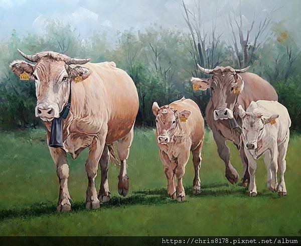 20211185705_庇里牛斯山牛群_Pyrenean Cows_油畫_Oil on canvas_100x81cm_40F_動物_尤倫斯·達內斯_Llorens Danes_西班牙_2019.jpg