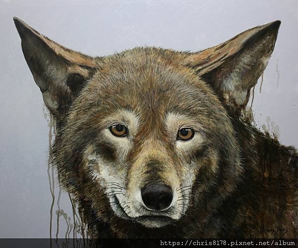 20211185703_西班牙之狼_Iberian wolf_油畫_Oil on canvas_73x60cm_20F_動物_尤倫斯·達內斯_Llorens Danes_西班牙_2017.jpg