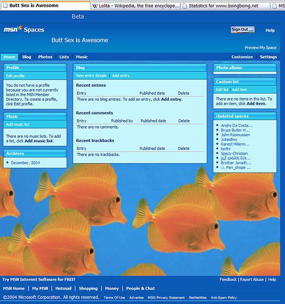 msn-spaces-12.jpg