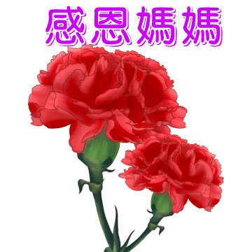 感恩媽媽