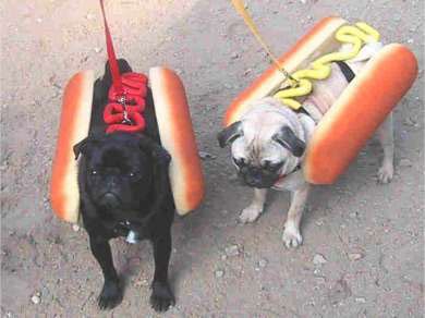 019_hot_dogs