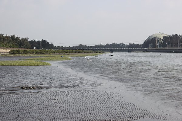 白鷺鷥