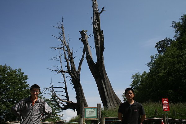 IMG_3372.JPG