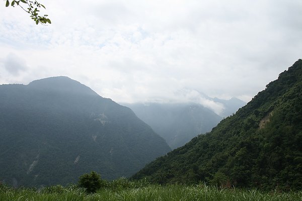 IMG_3384.JPG