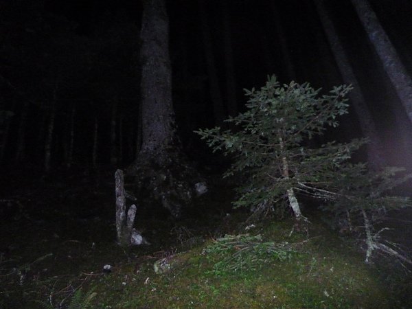 P1010722.JPG