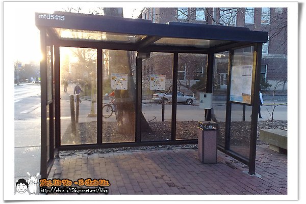 20100310 BUS Shelters.jpg