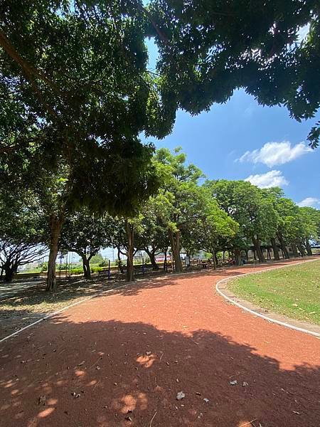 雲林水林親子景點，黃金蝙蝠生態館，位於誠正國小旁，金黃鼠耳蝠