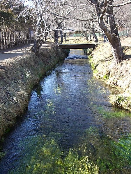 IMGP0796.JPG