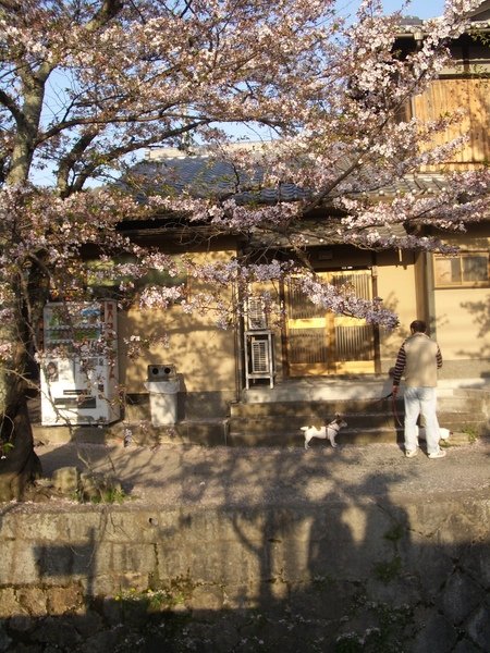 IMGP3541.JPG