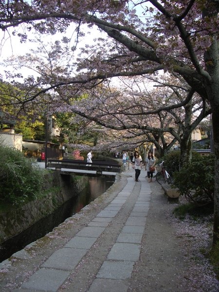 IMGP3579.JPG