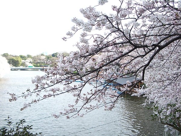 IMGP7814.JPG