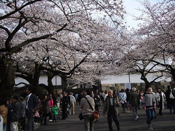 IMGP7775.JPG
