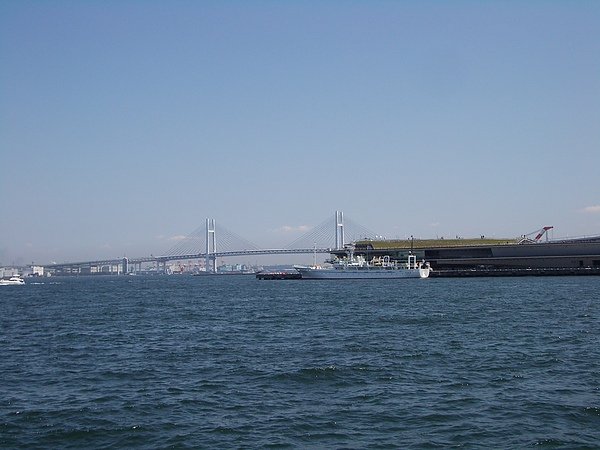 IMGP8187.JPG