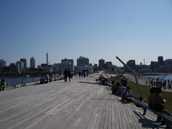 IMGP8289.JPG