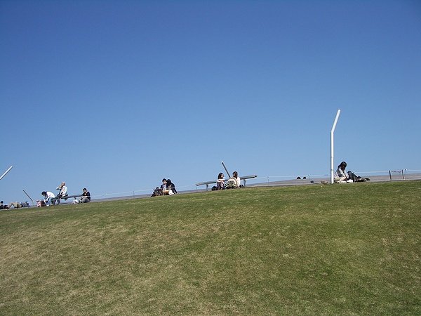 IMGP8287.JPG