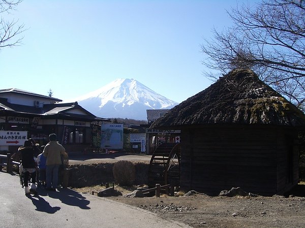IMGP0782.JPG