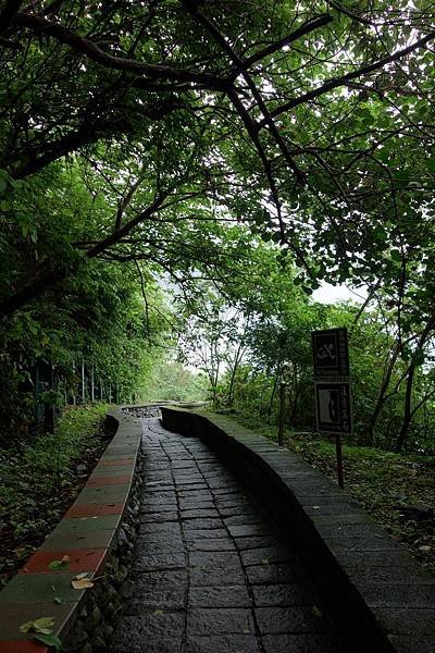 DSC06528