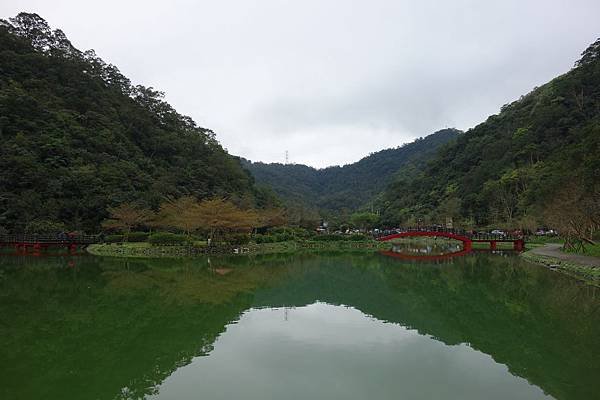 DSC06132