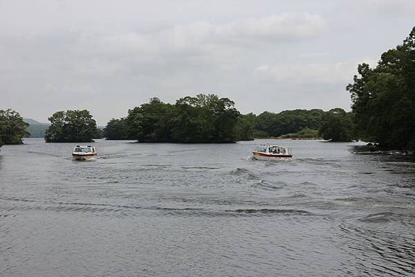 IMG_6420