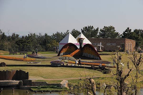 IMG_2431