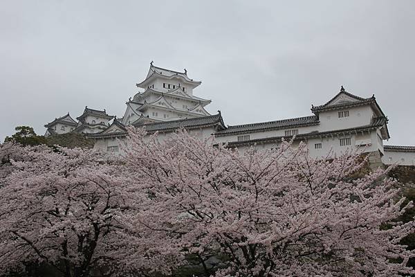 IMG_4659