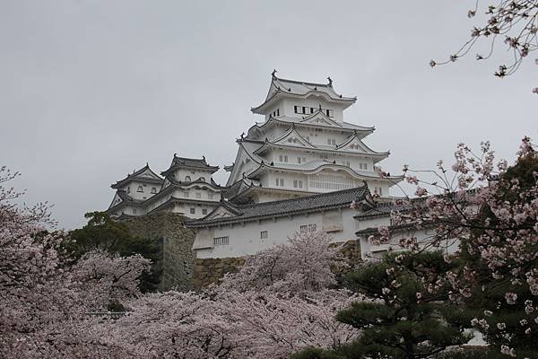IMG_4657
