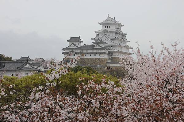 IMG_4846