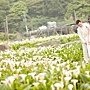 桃園1084_婚紗攝影推薦