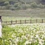 桃園1082_婚紗攝影推薦