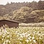 桃園1117_婚紗攝影推薦