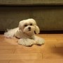 IMAG0300-1.jpg