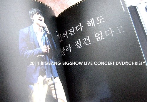 2011_BIGSHOW_12.jpg