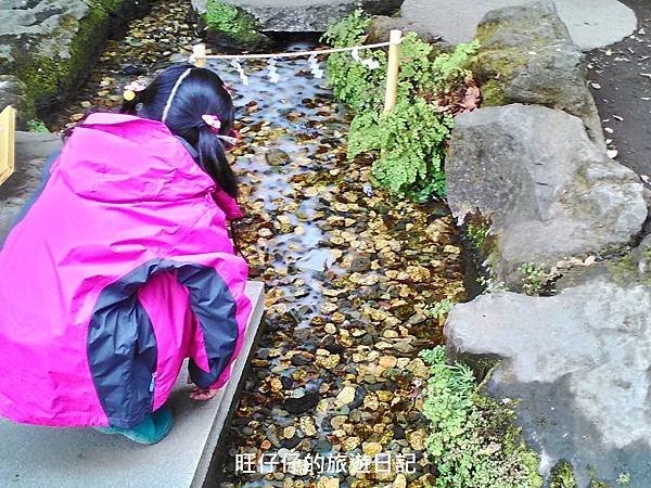 P_20160208_132207_HDR.jpg