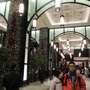 IMG_3979.JPG