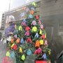 IMG_4059.JPG