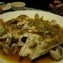 IMGP4546.JPG