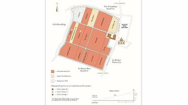 [勃根地地塊說]Morey-St-Denis-Clos de