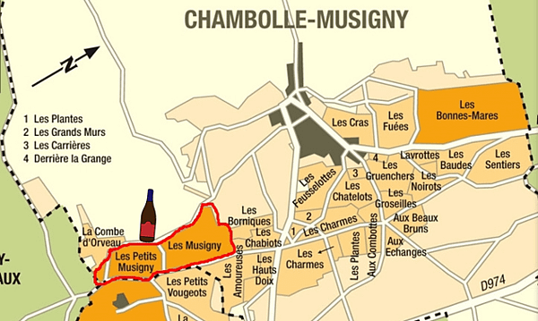 [勃根地地塊說]Chambolle Musigny-Musi